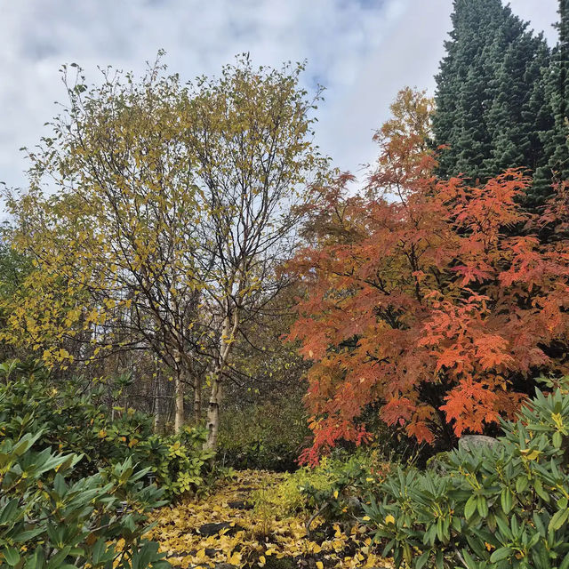 Arctic–Alpine Botanic Garden