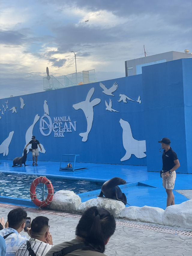 MANILA OCEAN PARK & BIODOME BLISS