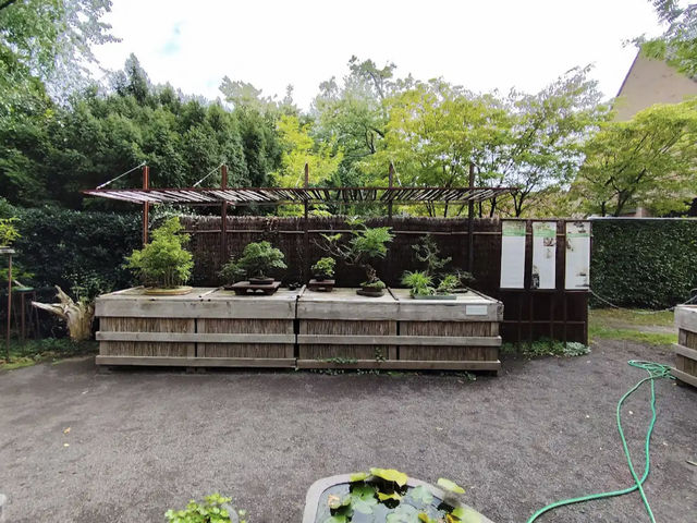 Arboretum Kalmthout