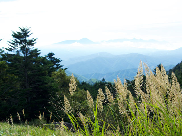 【長野県】気軽に楽しめる日本百名山・美ヶ原
