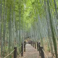 Halla Arboretum, Jeju Island,S.Korea