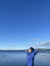 🇳🇿🦢 Rotorua's Swan Lake: Where Emerald Waters Meet Sapphire Skies! 🌊