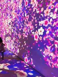 台版teamlab🎨 小孩愛瘋的沈浸式體驗 屏菸1936文化基地