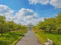 어여쁜 수련이 가득한🌺 영국 큐가든 워터릴리 하우스