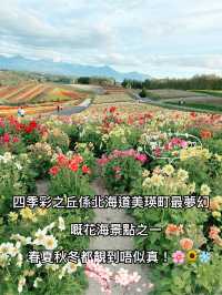 四季彩之丘係北海道美瑛町最夢幻嘅花海景點之一，春夏秋冬都靚到唔似真！🌸🌻❄️