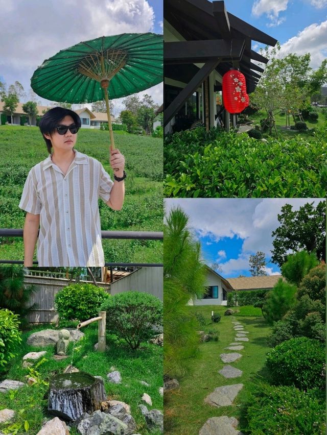 🌱 PASSA | ผัสสะ คาเฟ่ไร่ชา