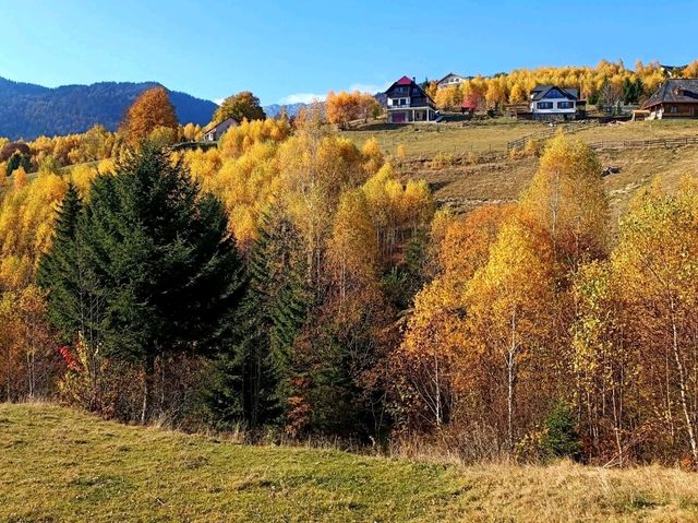 Piatra Craiului