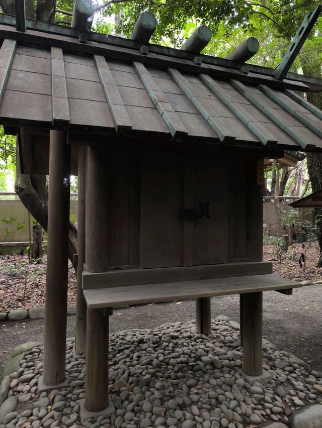 Peaceful Shrine Walk🌞