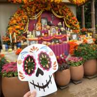 【千葉/舞浜🇯🇵】まるでメキシコ🇲🇽東京ディズニーシー