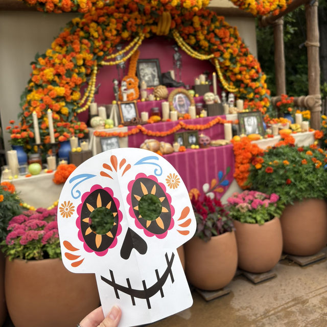 【千葉/舞浜🇯🇵】まるでメキシコ🇲🇽東京ディズニーシー