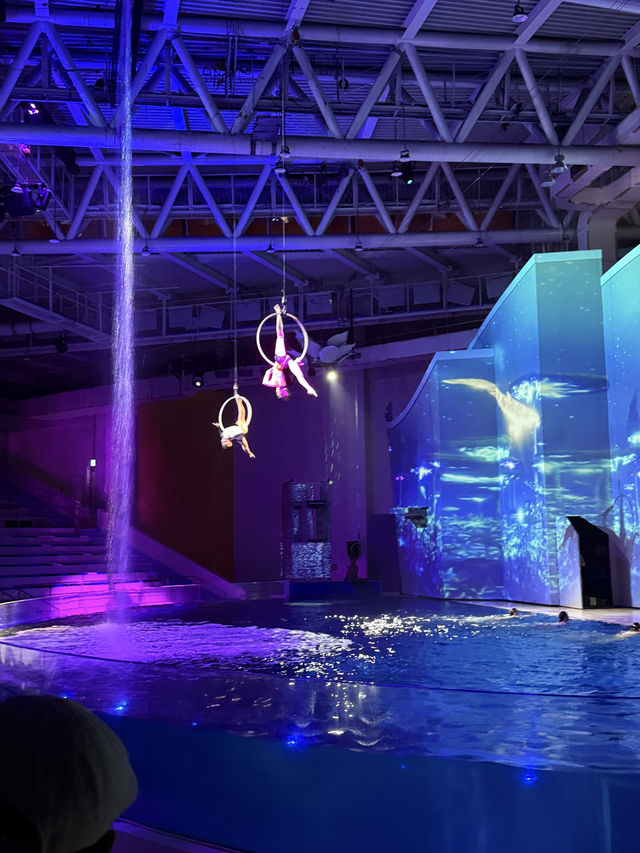 Make a Splash at Aqua Planet Jeju: The Ultimate Family Day Out! 🐠🌊