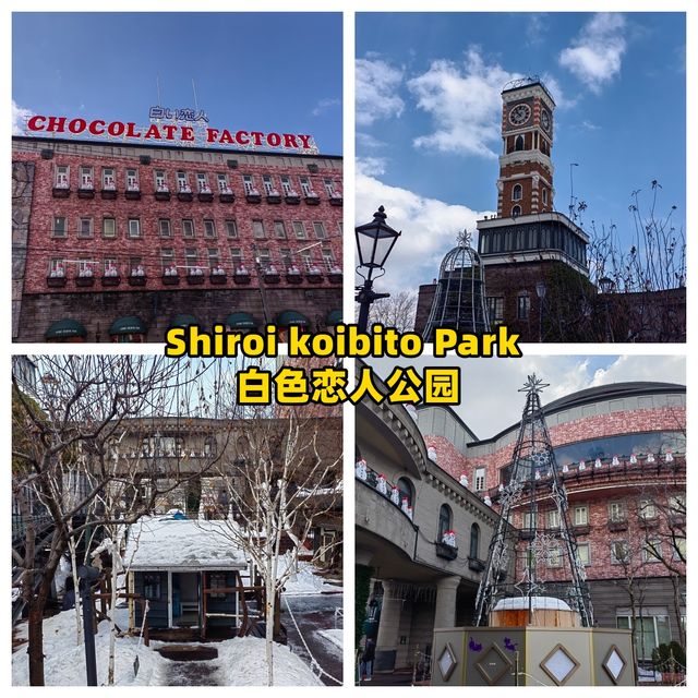 🌸 A Magical One-Day Journey Through Sapporo — From Morning Views to Night Lights
