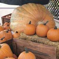 Denver Botanic Gardens