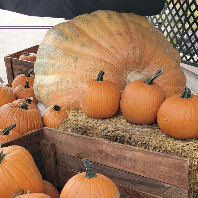 Denver Botanic Gardens