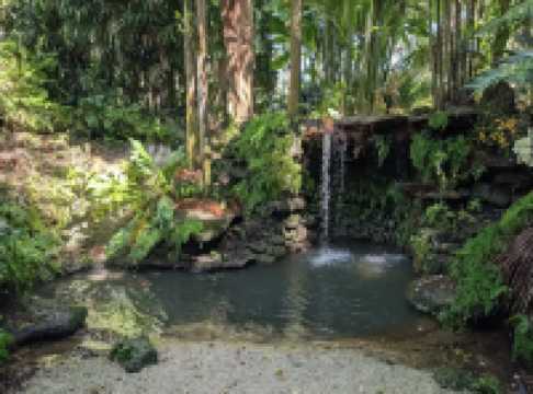 Fairchild Tropical Botanic Garden