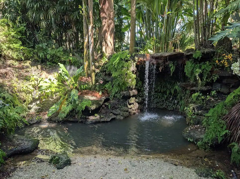 Fairchild Tropical Botanic Garden