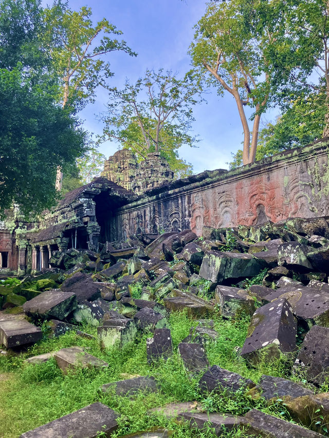 🛕タ・プローム寺院(Ta Prohm)🌀 🛕タ・プローム寺院(Ta Prohm)🌀