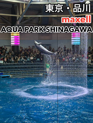 【東京・品川】 駅からのアクセスも抜群 都市型水族館　マクセル アクアパーク品川