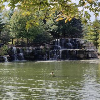 Bay Beach Wildlife Sanctuary – Green Bay’s Urban Haven for Nature and Wildlife