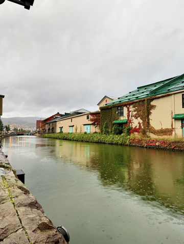 🇯🇵Otaru Canal ใบไม้เปลี่ยนสี🍁ในวันฝนพร่ำ 🌧️