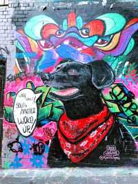 探索墨尔本的艺术心脏：涂鸦小巷全攻略