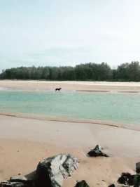 澳洲海邊慢活散步必去島嶼🌊  