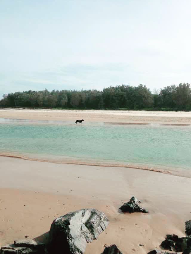 澳洲海邊慢活散步必去島嶼🌊  