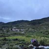 🗺️ The Ultimate Borneo Journey: Days of Discovery