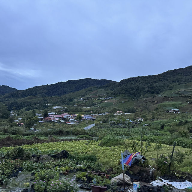 🗺️ The Ultimate Borneo Journey: Days of Discovery