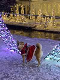 【北海道｜札幌近郊冬季限定】湯咖哩暖胃→雪中頭大佛＋復活島摩艾→白之戀人公園夜燈全亮，完美一天