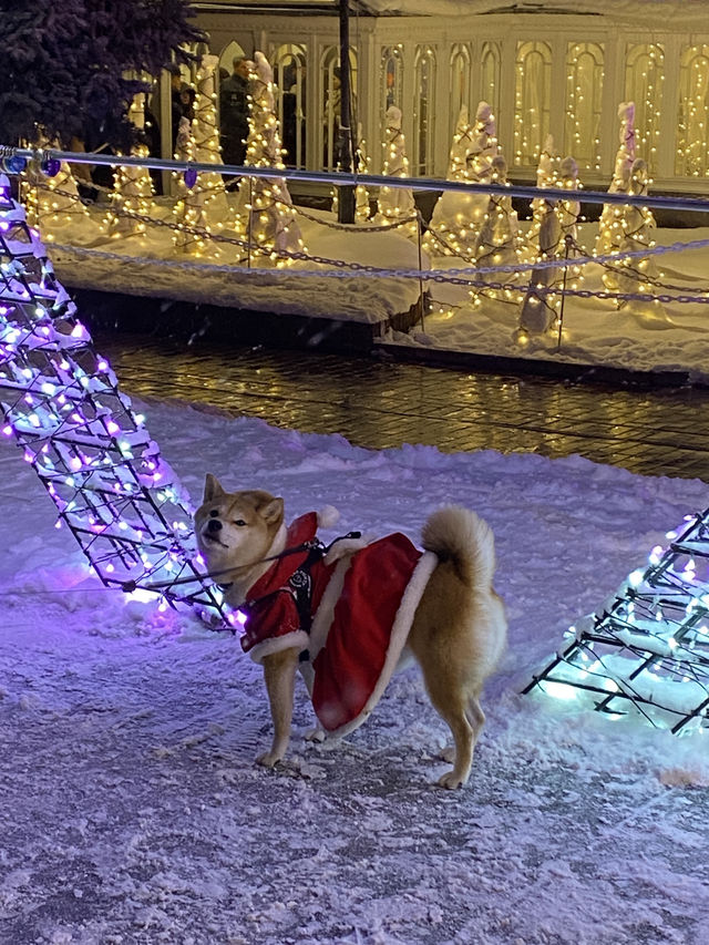 【北海道｜札幌近郊冬季限定】湯咖哩暖胃→雪中頭大佛＋復活島摩艾→白之戀人公園夜燈全亮，完美一天