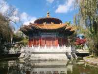 “The Eternal Spring Temple of Kunming”