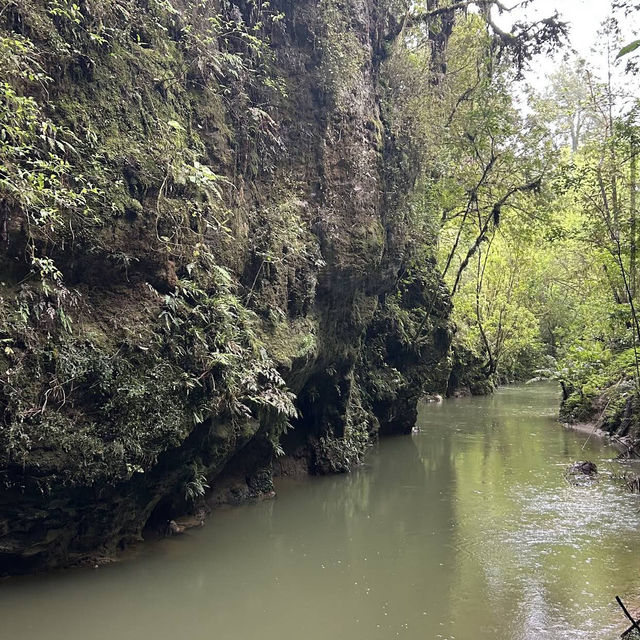 Waitomo Glowworm Caves