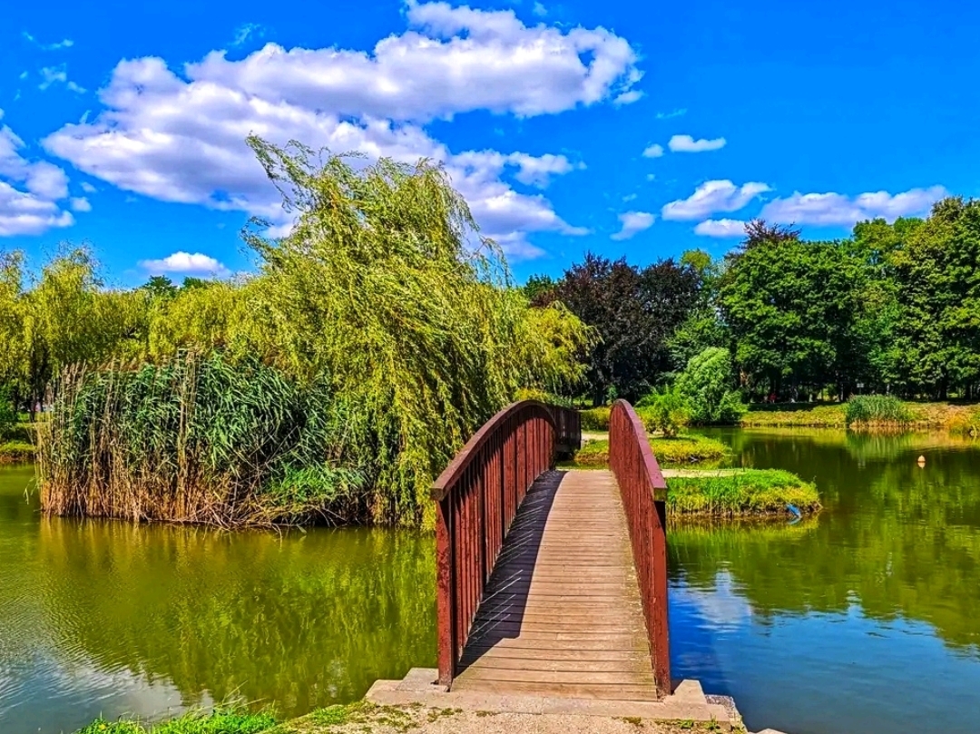 🌿 Park Miejski, Bytom – A Peaceful Green Escape in the Heart of the City