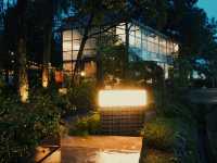 Golden-Hour Catch-Up: Why The Glasshopper Is Perfect for Afternoon Conversations