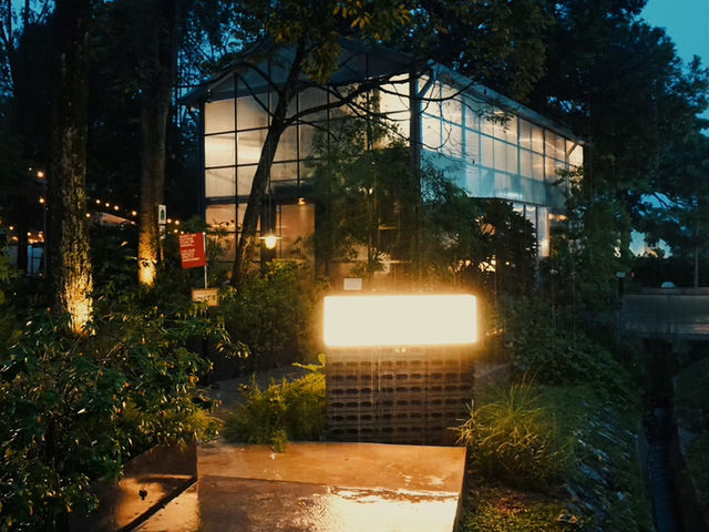 Golden-Hour Catch-Up: Why The Glasshopper Is Perfect for Afternoon Conversations