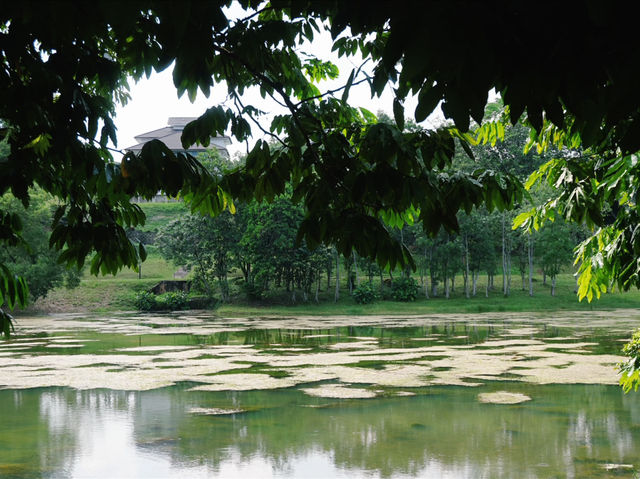 Eco-Adventure in the City: Cycling and Exploring the Wetland Trails