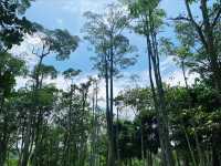 Eco-Adventure in the City: Cycling and Exploring the Wetland Trails