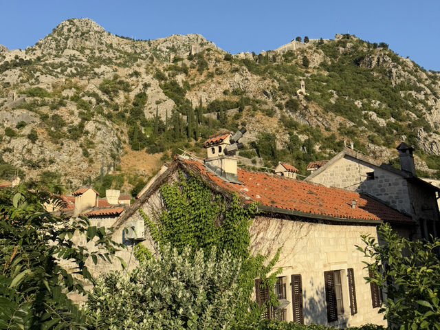 🏰🌊 OLD TOWN KOTOR — MONTENEGRO’S HISTORIC JEWEL 🇲🇪✨