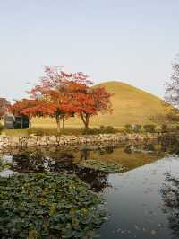 경주여행 이색사진 찍기