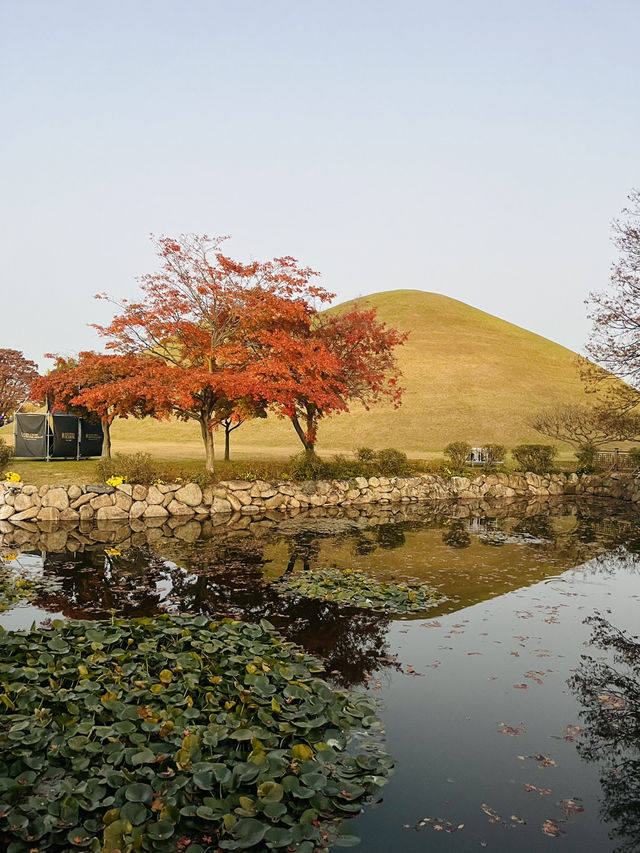 경주여행 이색사진 찍기