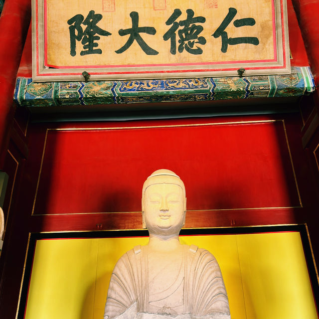 Forbidden City Glow✨