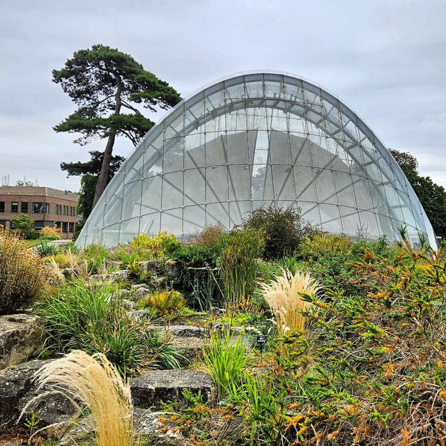 Relaxing Escape at Kew Gardens