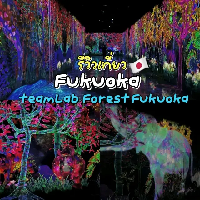 โลกศิลปะที่ไม่ใช่แค่ดู แต่ต้อง “เข้าไปเล่น”