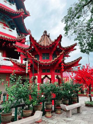 ดอกไม้บาน ณ สวนเชียงชวน สีบู