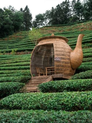 Wuyi Mountain: Where Tea Mist Meets River Silence