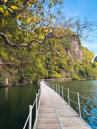 🏝️ Why Dayang Bunting National Park Should Be on Your Langkawi Bucket List