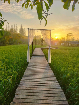 Looking for a Place That Blends the Simplicity of Nature.