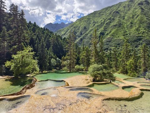 yanggao ヤンガオ GOLDEN MOUNTAIN WATER T XL A Must-See in Western Sichuan: Deadwood, Snow-Capped Mountains