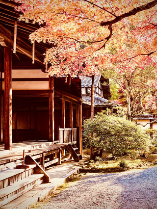 Oita’s Yufuin Floral Village & Lake Kinrinko Loop